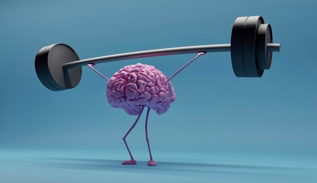 Brain Health: Islamic Guidelines